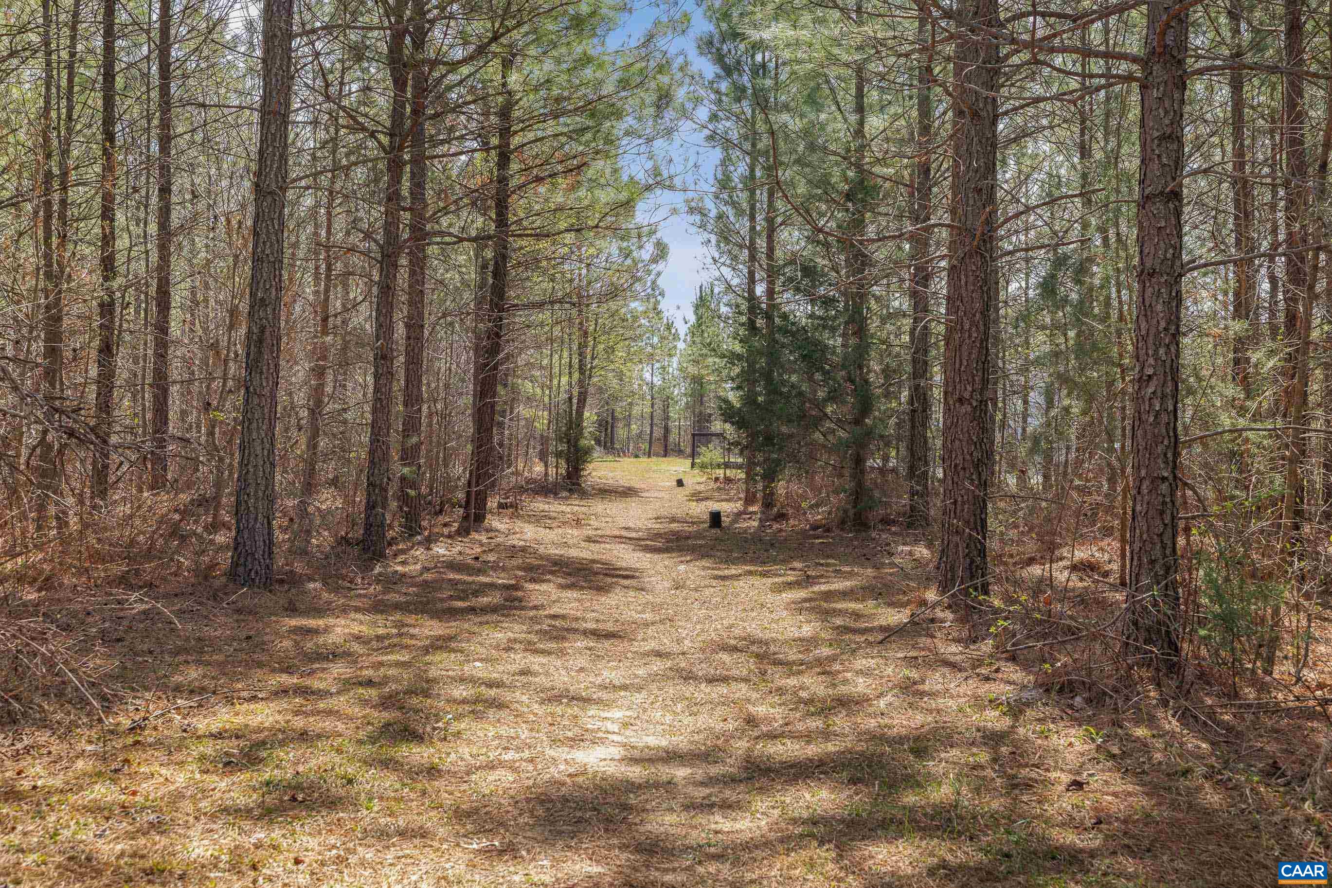 1340 Roundabout Road Louisa, VA 23093 - Photo 35 of 75