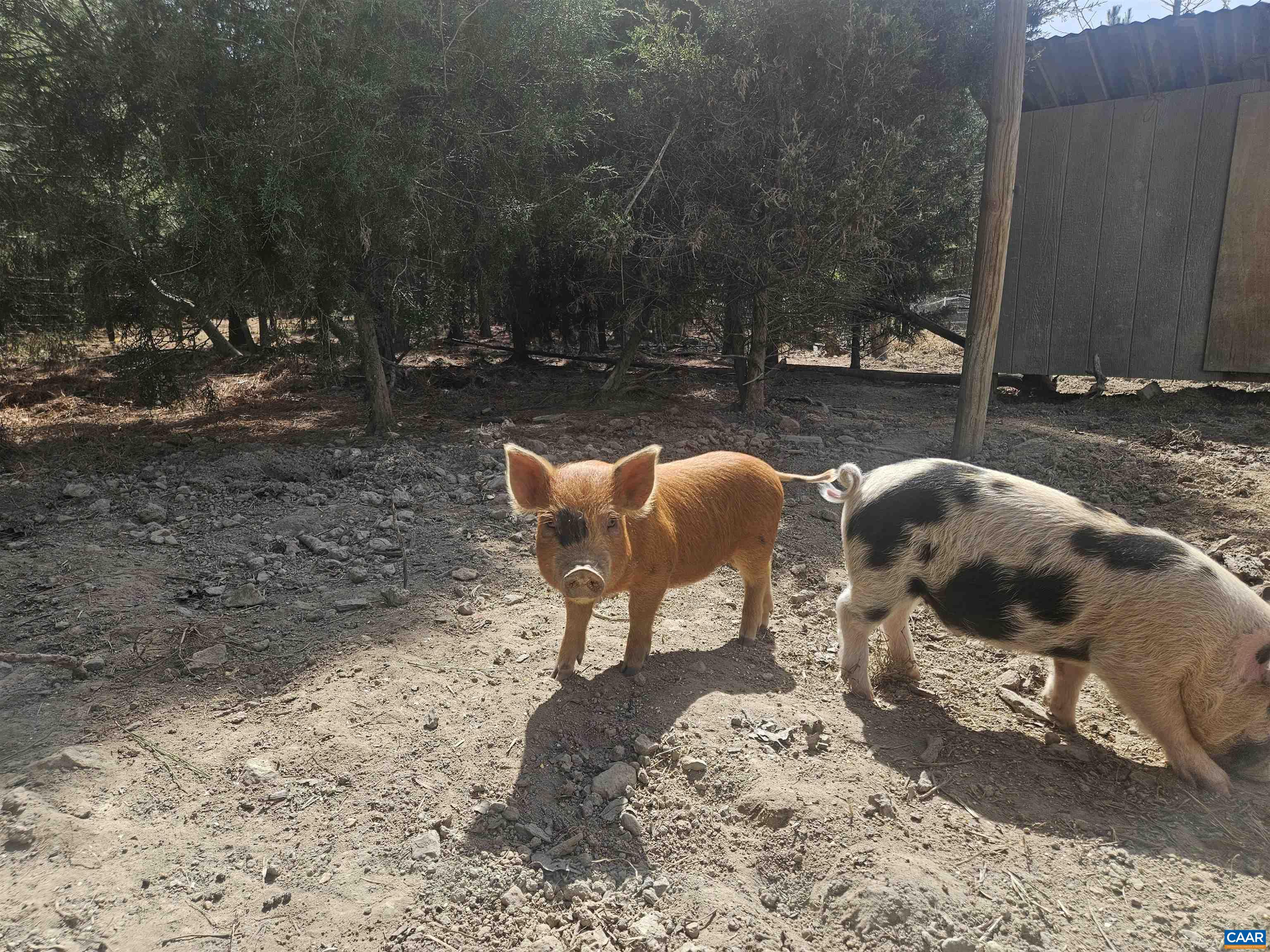 1340 Roundabout Road Louisa, VA 23093 - Photo 38 of 75