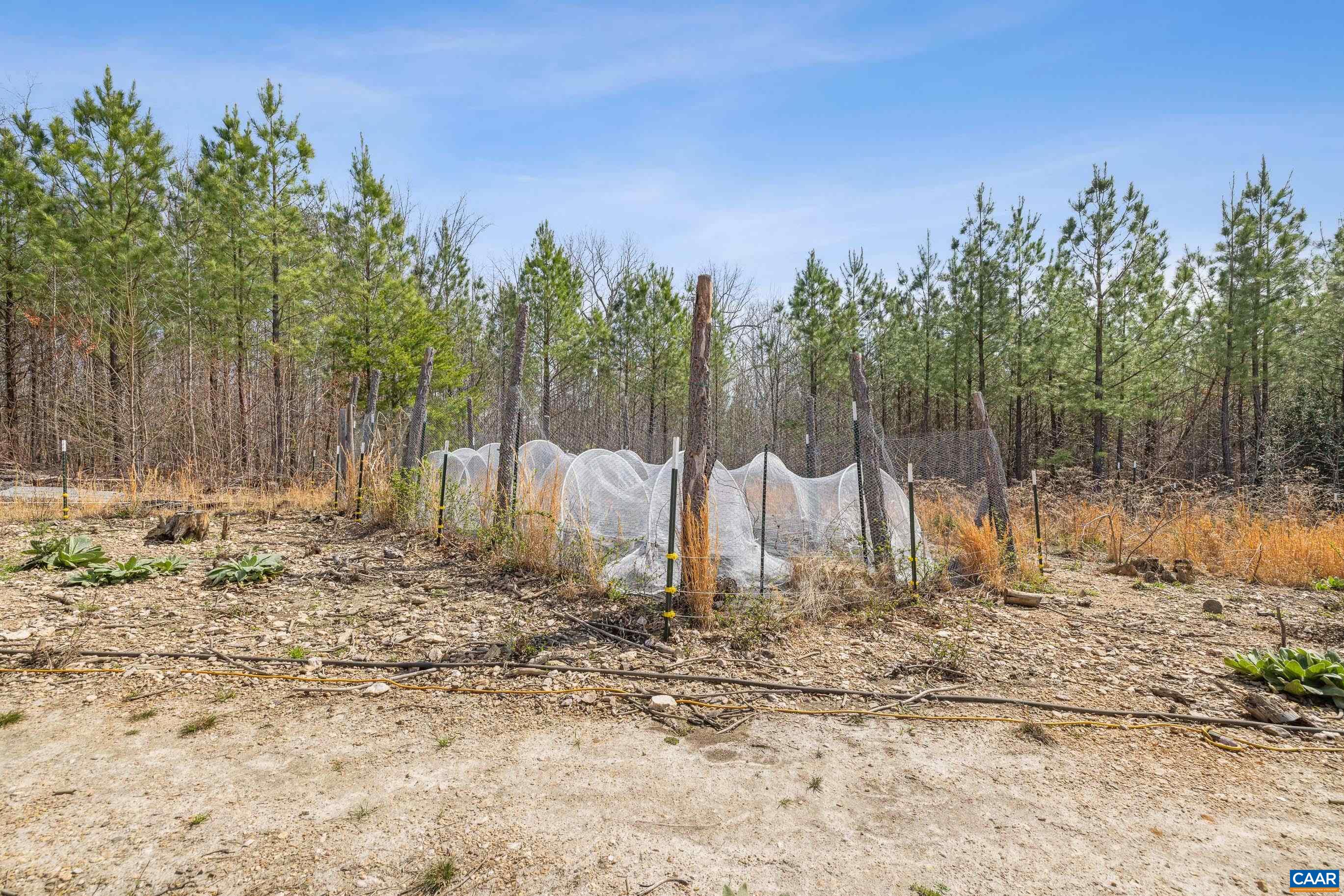 1340 Roundabout Road Louisa, VA 23093 - Photo 53 of 75