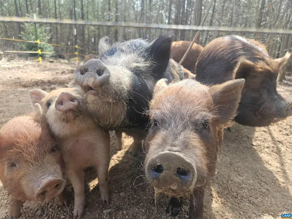 $457,000 | 1340 Roundabout Road, Louisa, VA 23093