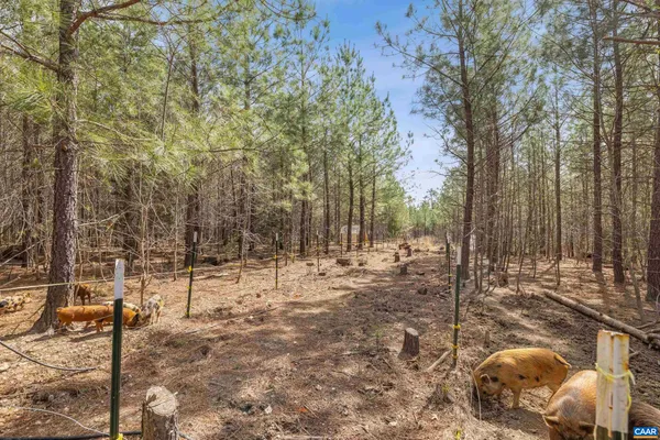 $457,000 | 1340 Roundabout Road, Louisa, VA 23093