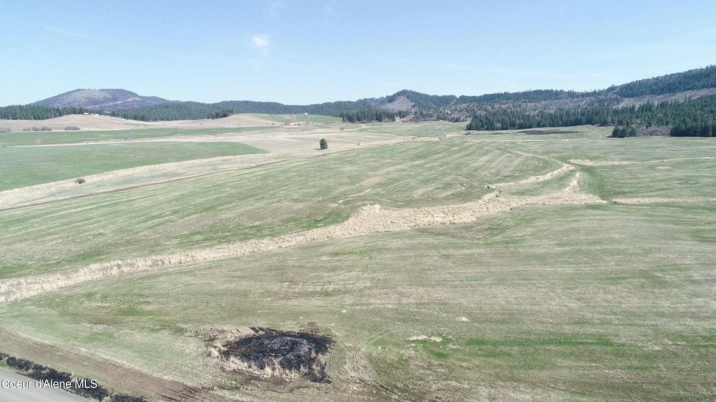 Lot 1 Mundt Road Plummer, ID 83851 - Photo 7 of 9 tempImageK5ssYw