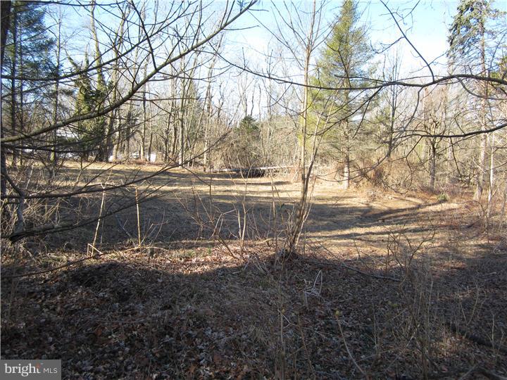 17 Millstone Road Princeton Junction, NJ 08550 - Photo 3 of 7