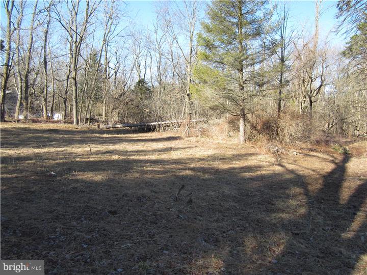 17 Millstone Road Princeton Junction, NJ 08550 - Photo 4 of 7 View 2
