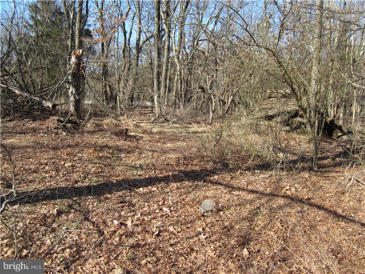 17 Millstone Road Princeton Junction, NJ 08550 - Photo 5 of 7