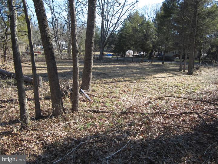 17 Millstone Road Princeton Junction, NJ 08550 - Photo 6 of 7
