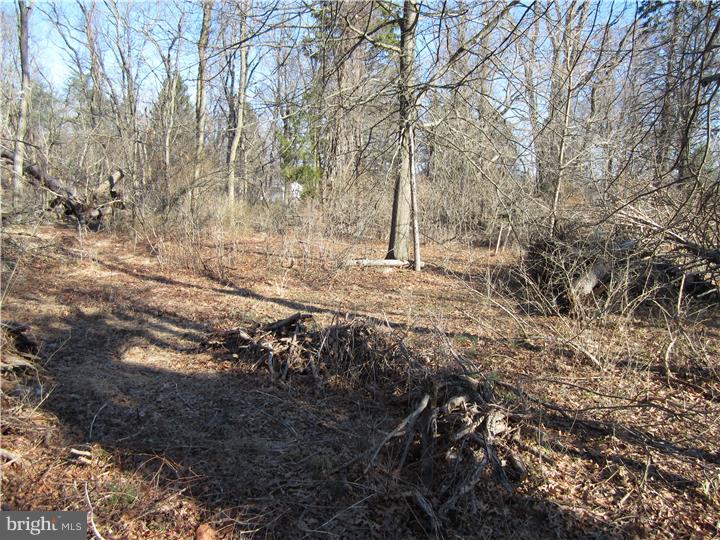 17 Millstone Road Princeton Junction, NJ 08550 - Photo 7 of 7