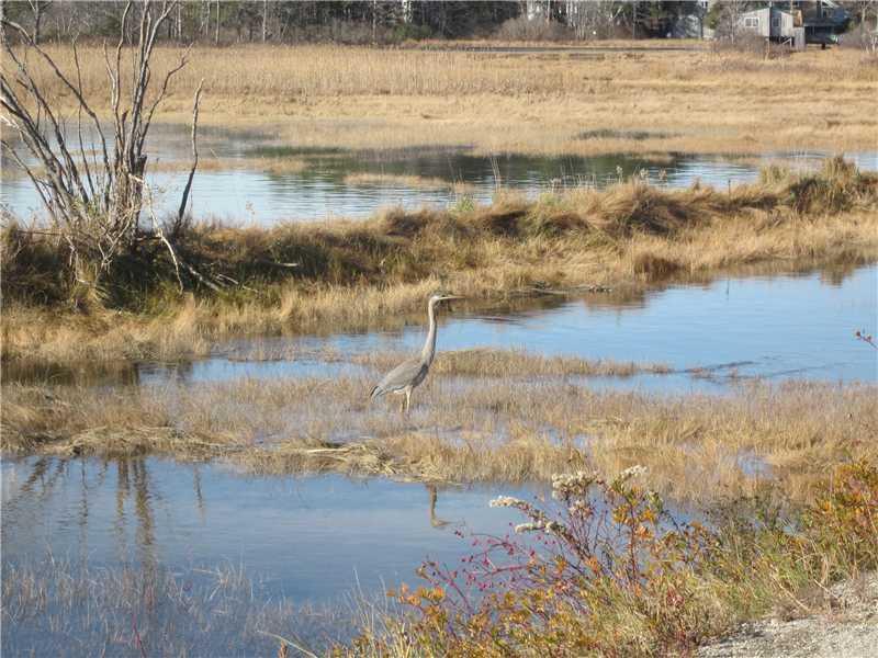 9 Drakes Island Road, Unit 2 Wells, ME 04090 - Photo 8 of 11 Other. Your morning walk to visit...
