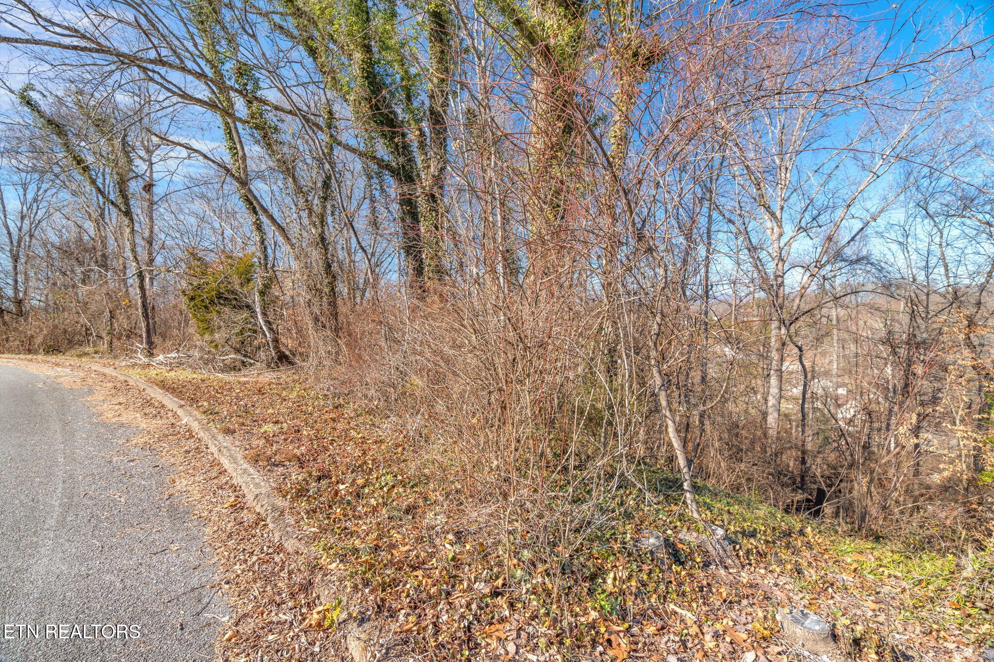 48 Orchard Knob Road Clinton, TN 37716 - Photo 20 of 29 Gallery Image 20