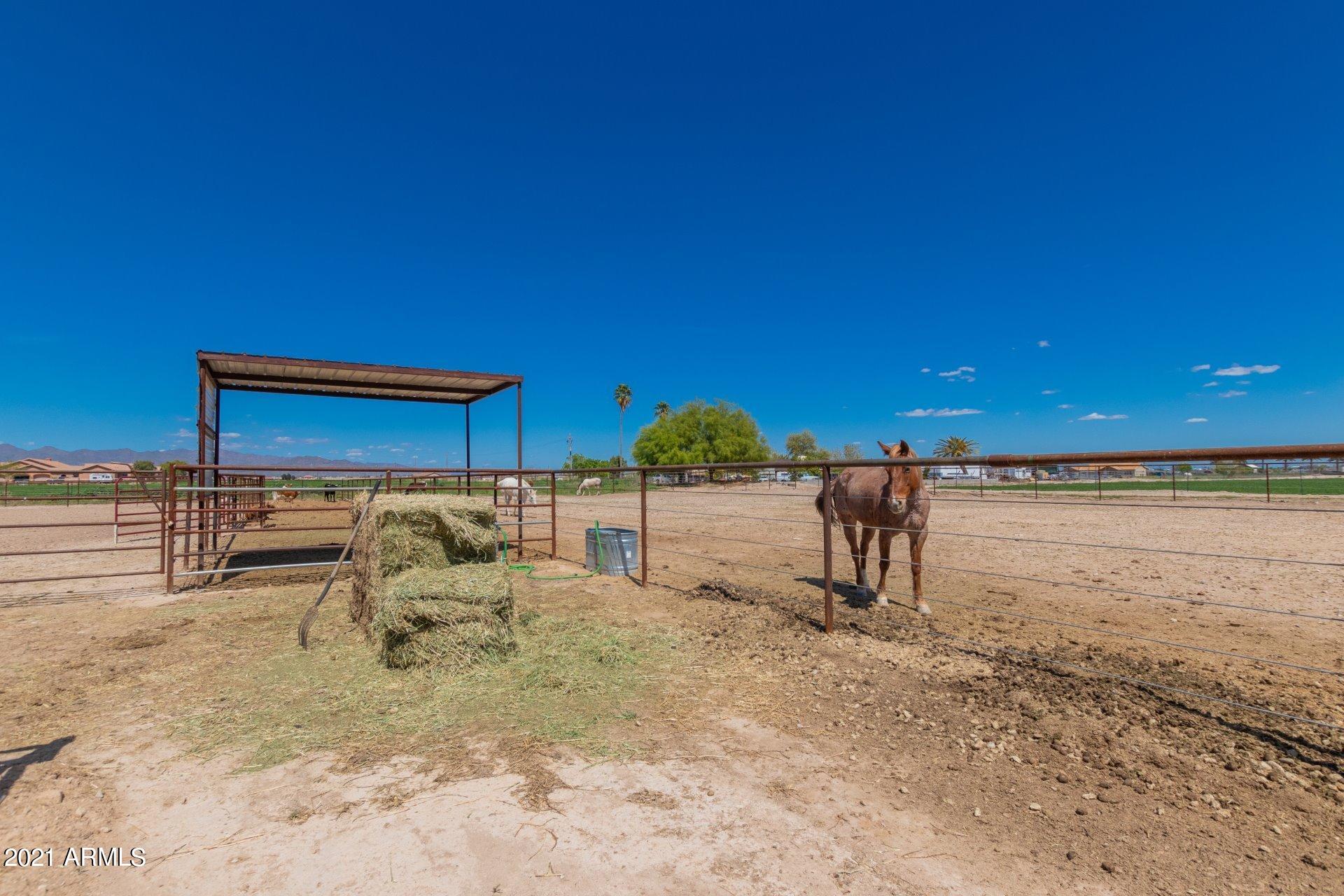 5605 South Rainbow Road Buckeye, AZ 85326 - Photo 8 of 59 0043-Rainbow (42)