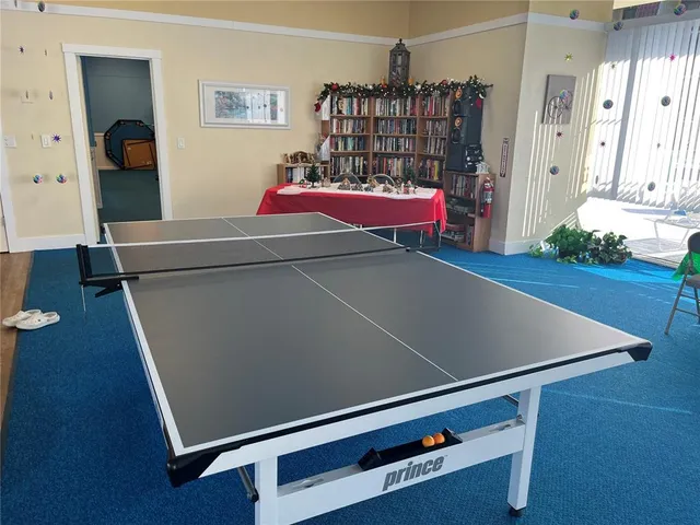 a room with furniture and a potted plant