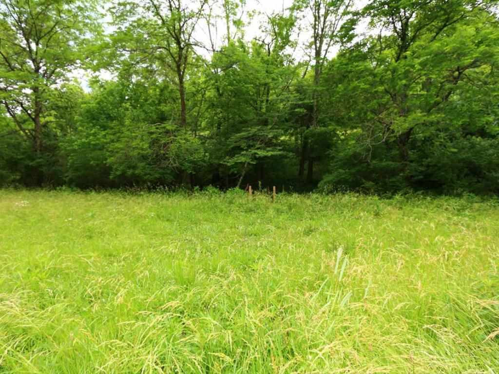 0 Stonehouse Road Melbourne, KY 41059 - Photo 10 of 17