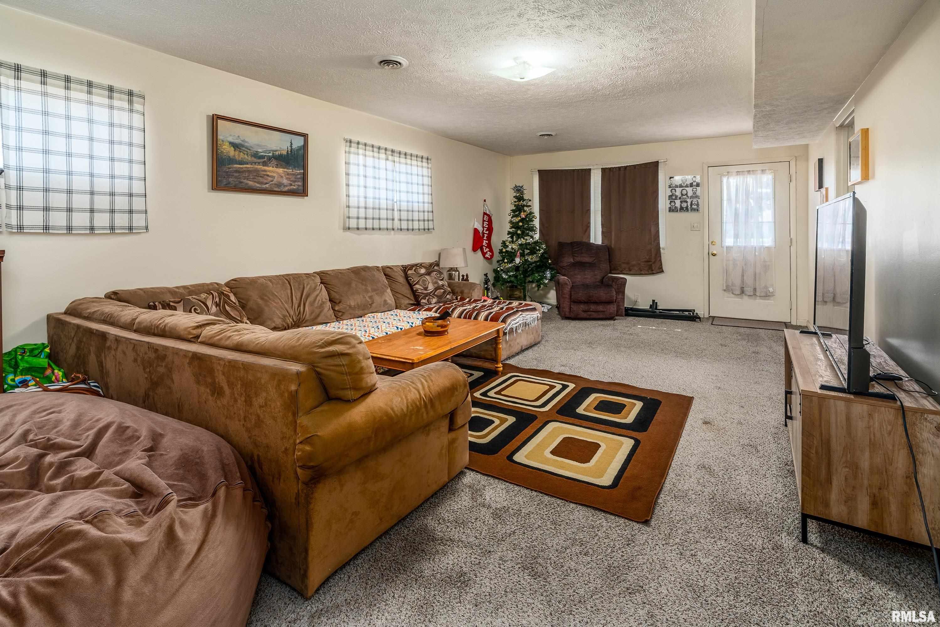 201 South Pershing Street Energy, IL 62933 - Photo 5 of 42