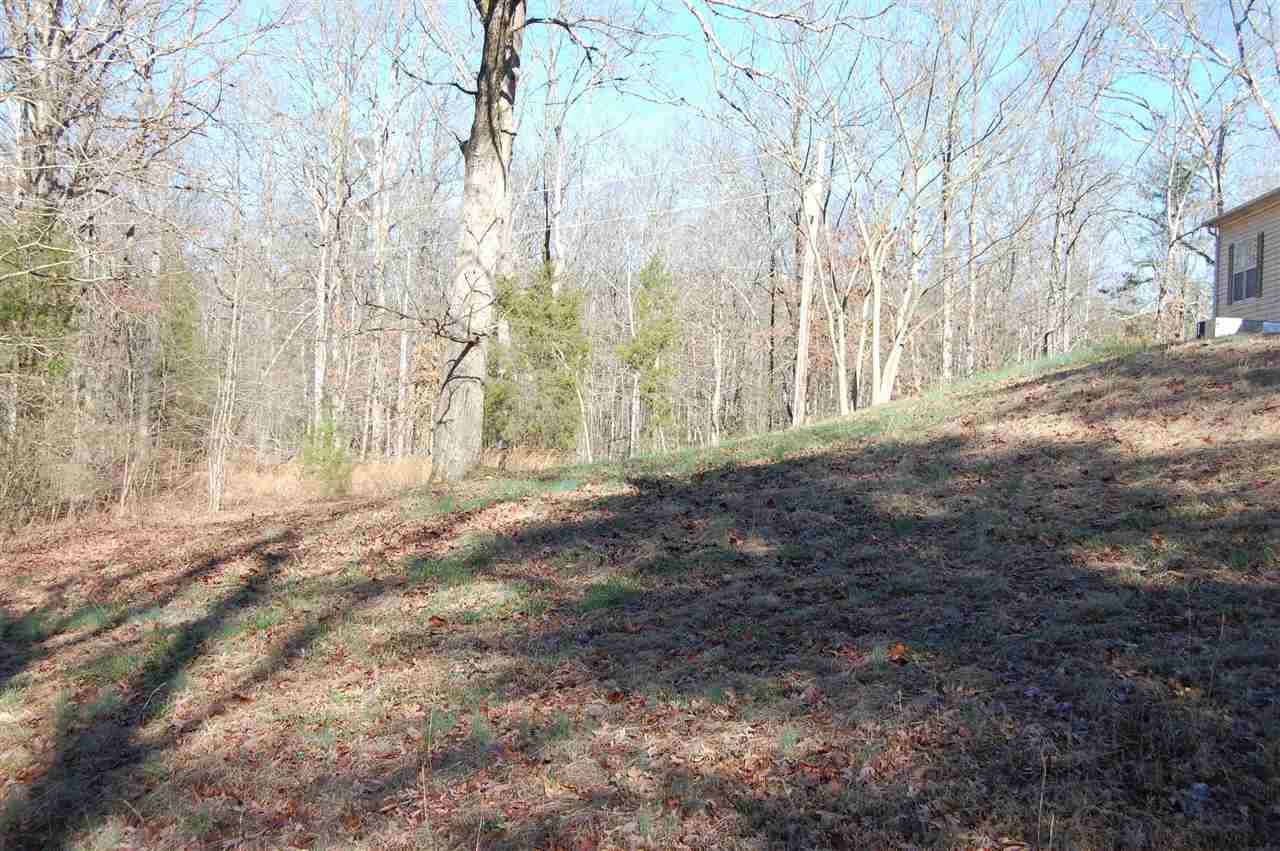 235 County Road 756 Riceville, TN 37370 - Photo 8 of 20 Gallery Image 8