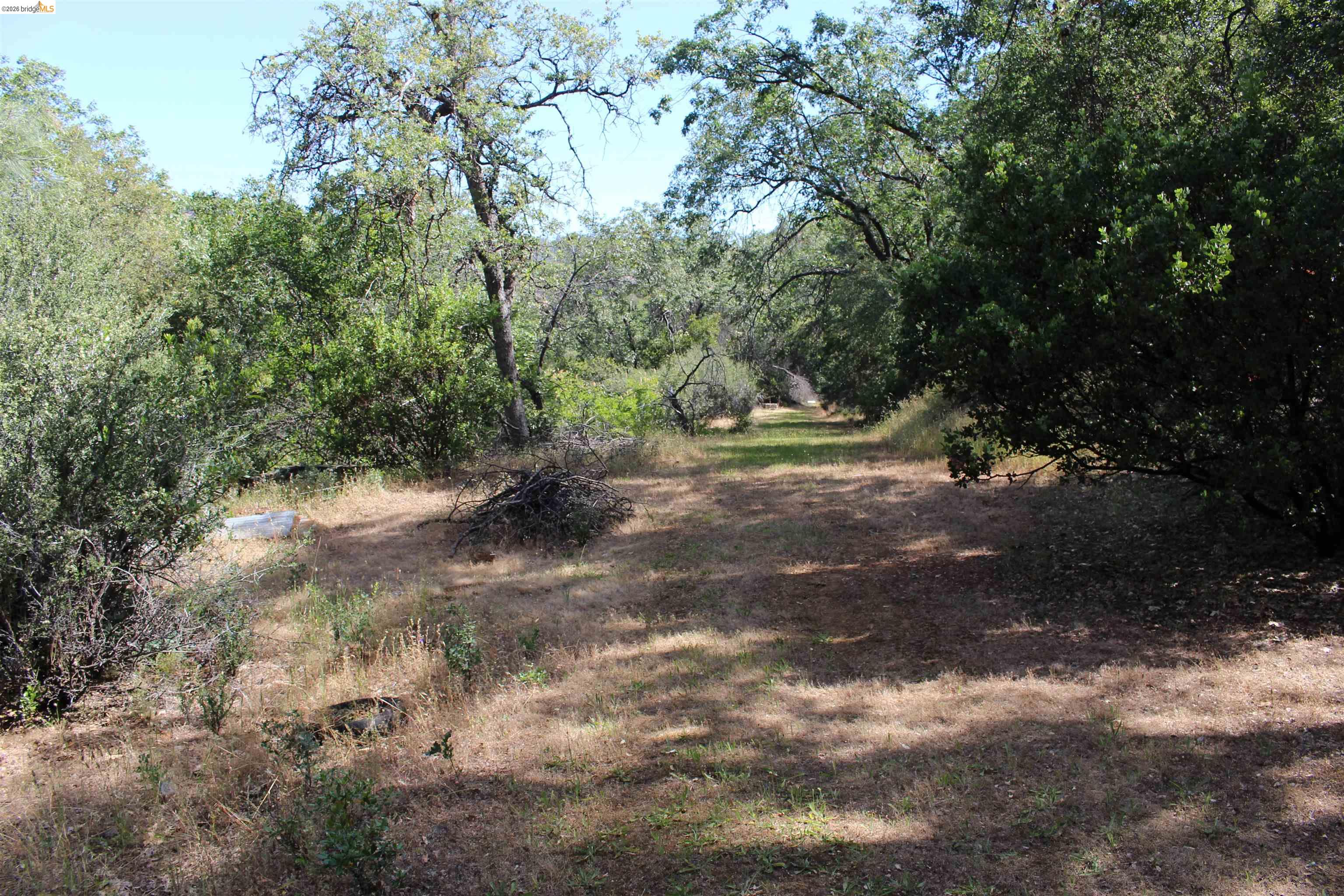 12000 Cattle Drive Trail Columbia, CA 95310 - Photo 12 of 24