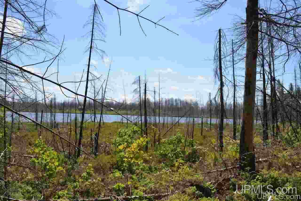 0 Off Co Road, Unit LITTLE PIKE LAKE Newberry, MI 49868 - Photo 2 of 11