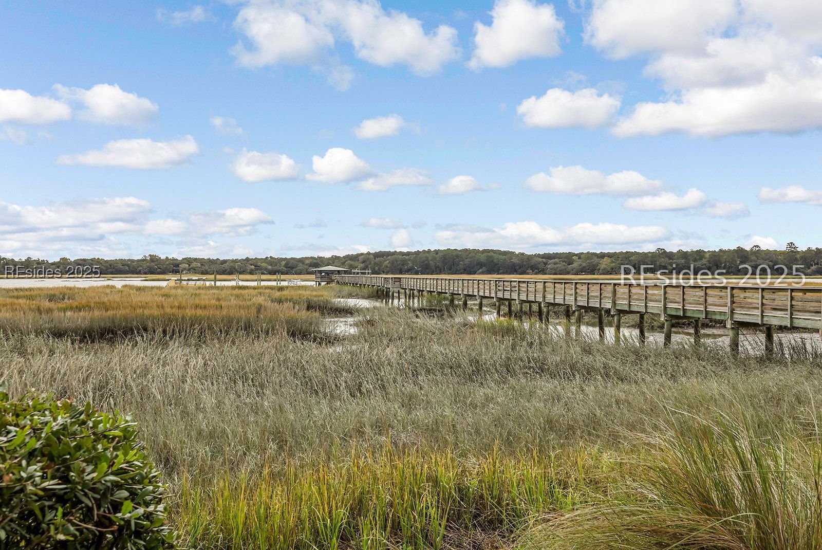 35 Blue Dasher Lane Bluffton, SC 29909 - Photo 79 of 83
