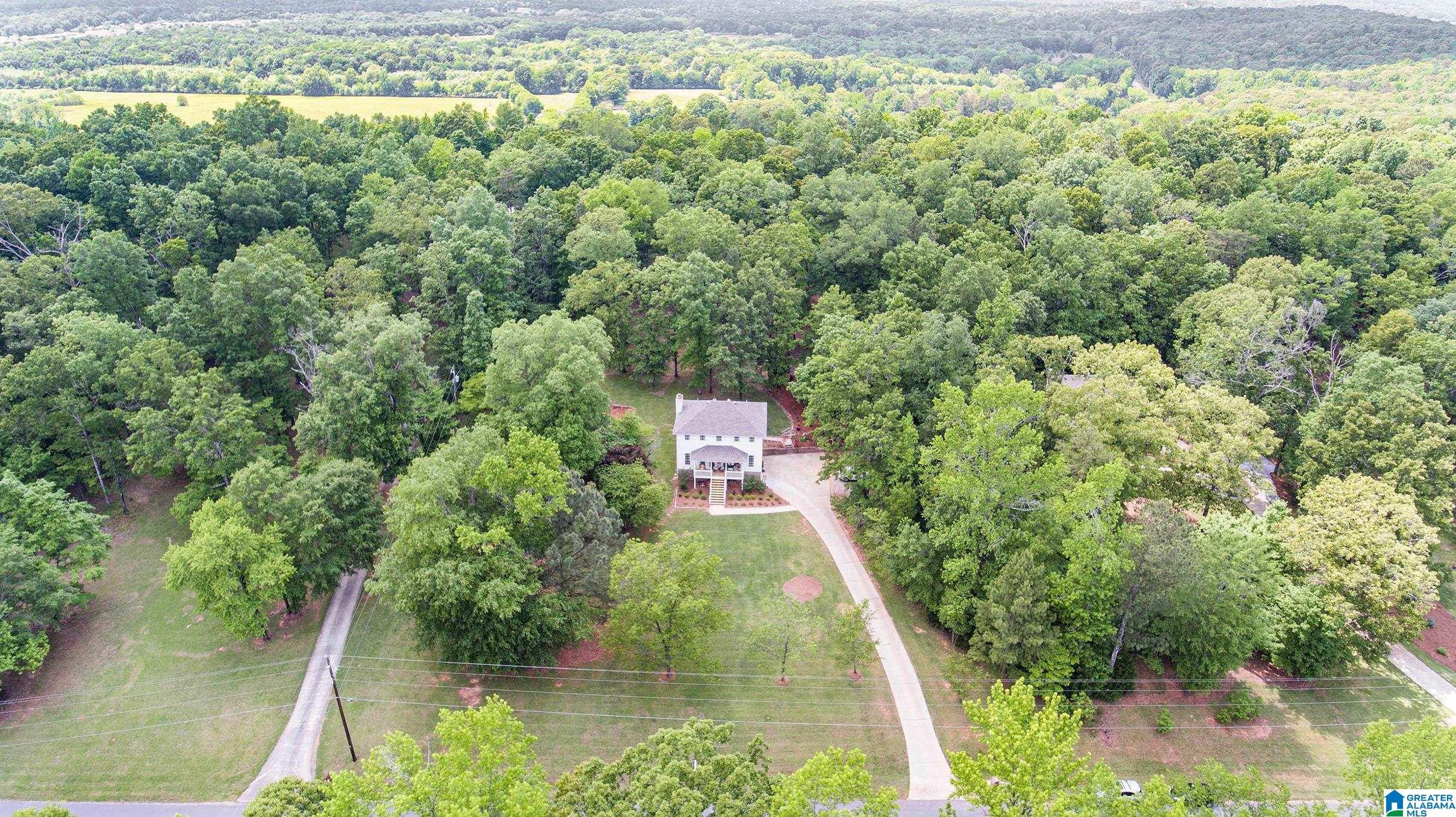126 Chestnut Drive Alabaster, AL 35007 - Photo 43 of 47