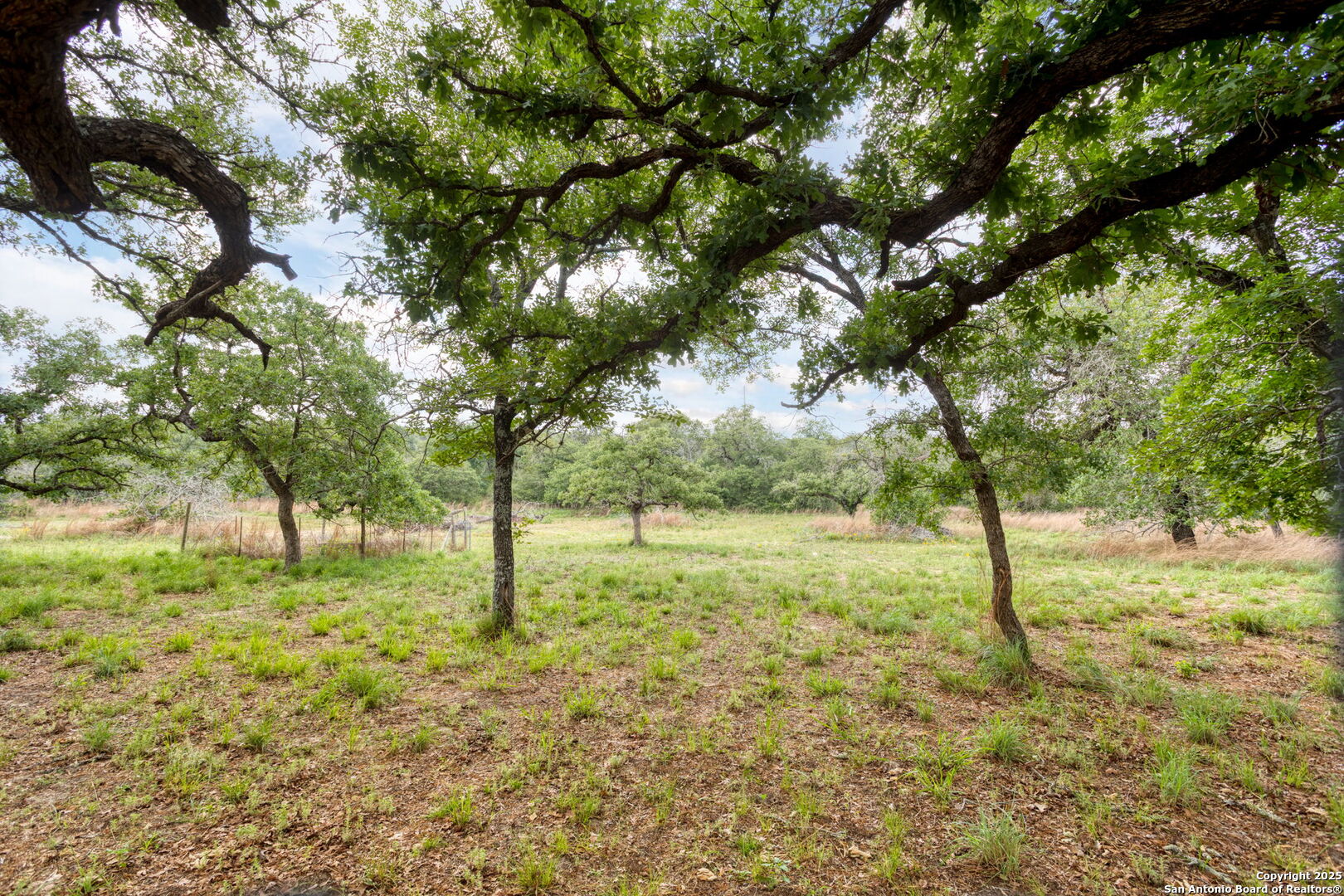 20-acres Guadalupe Ranch Lane Seguin, TX 78155 - Photo 38 of 40 a view of a trees with yard
