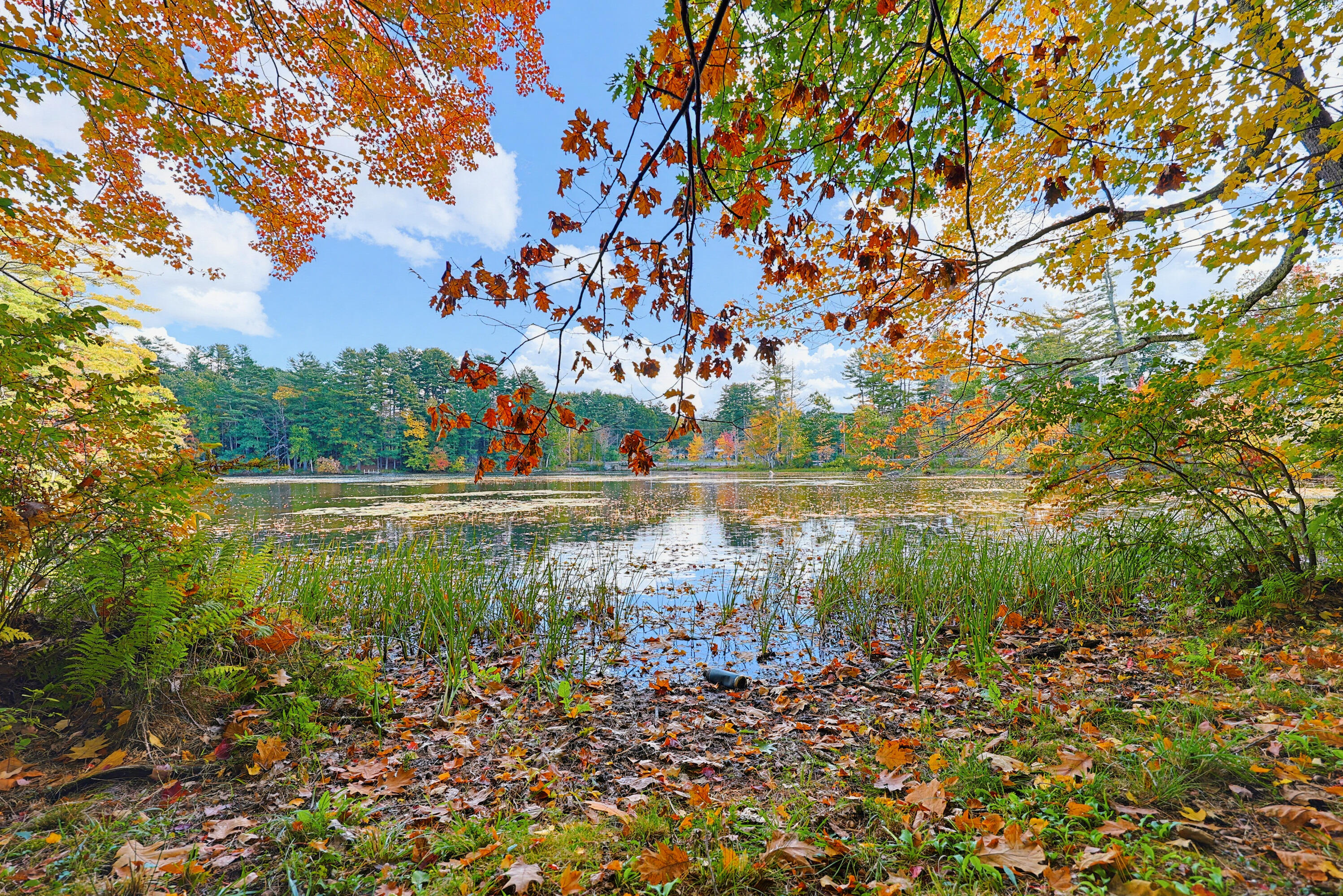 157 Buker Road Litchfield, ME 04350 - Photo 50 of 51 IMG_6574