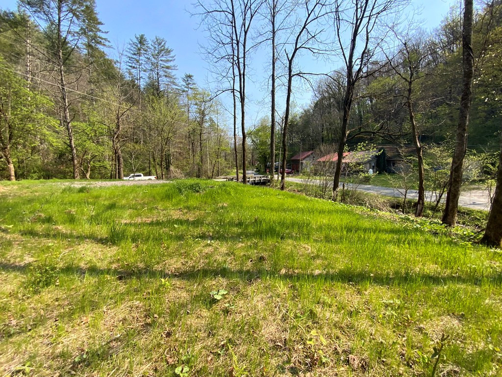 1000 Hyatt Creek Road Marble, NC 28905 - Photo 7 of 15