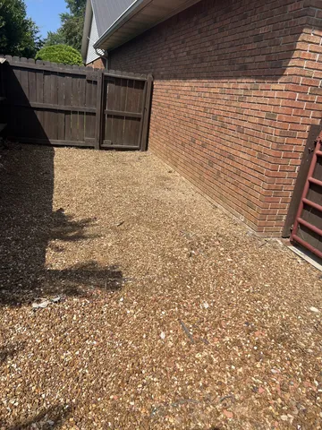 a view of a lake with a large tree