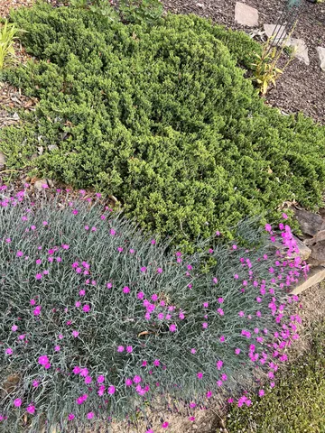 $575,000 | 15 Chesapeake Drive, McKenzie, TN 38201