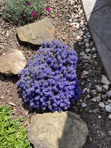 $575,000 | 15 Chesapeake Drive, McKenzie, TN 38201