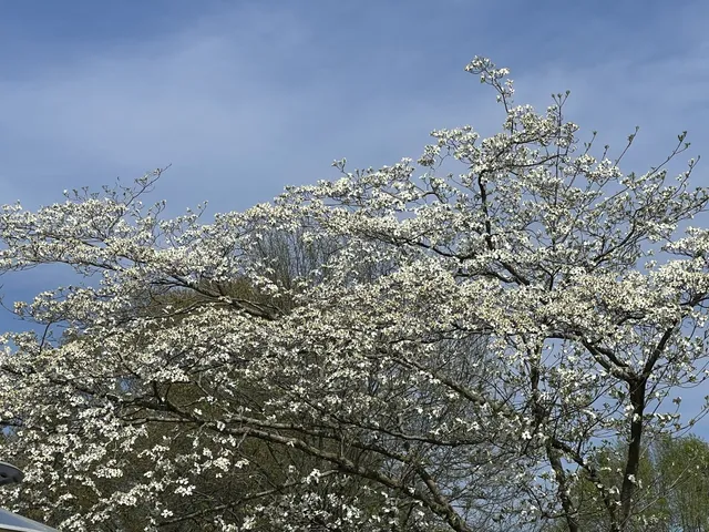 $575,000 | 15 Chesapeake Drive, McKenzie, TN 38201