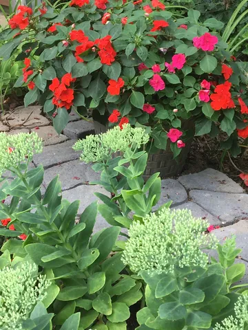 $575,000 | 15 Chesapeake Drive, McKenzie, TN 38201