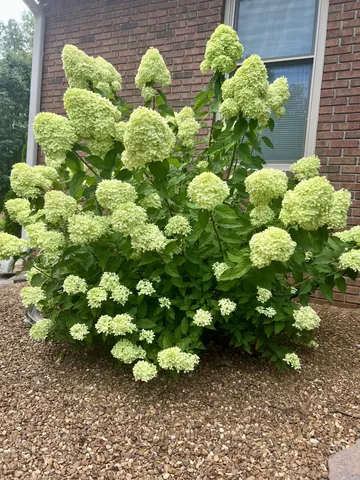 $575,000 | 15 Chesapeake Drive, McKenzie, TN 38201