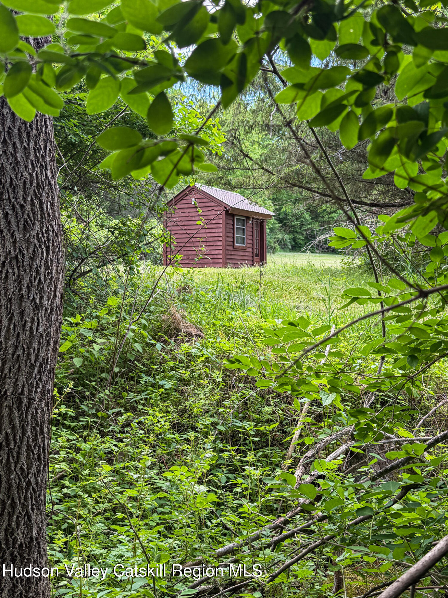 221 Camp Medusa Road Rensselaerville, NY 12120 - Photo 37 of 57 a view of a tree in a garden