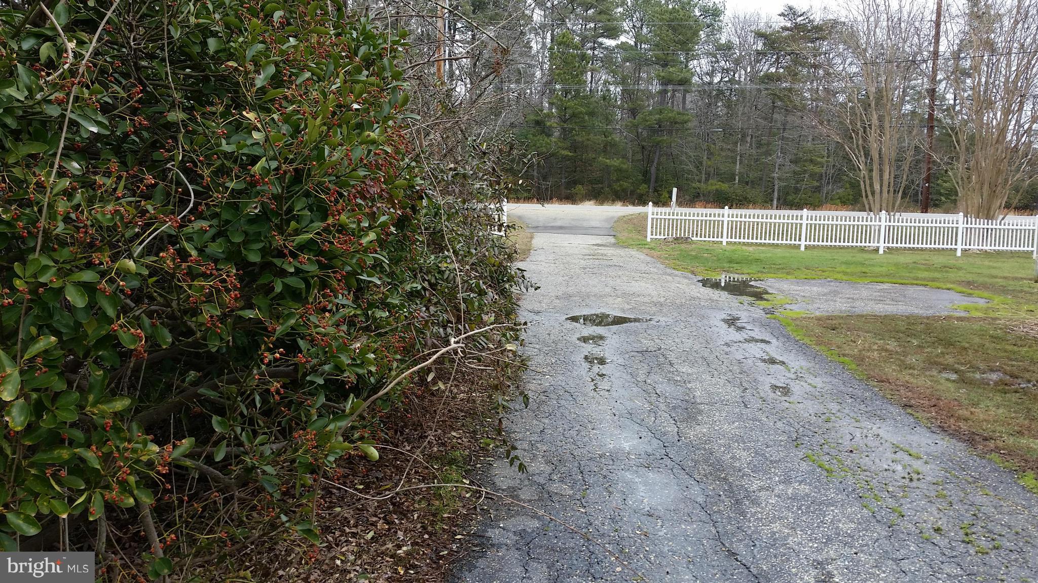19865 Three Notch Road Lexington Park, MD 20653 - Photo 25 of 28 Driveway