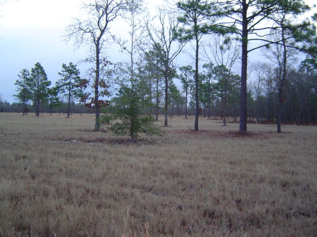 Lot 5 Oak Ridge Club Road Aiken, SC 29801 - Photo 1 of 1