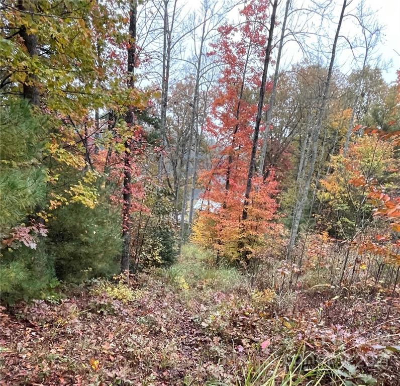 Tbd Jones Farm Road, Unit 13R Saluda, NC 28773 - Photo 1 of 7 Gallery Image 1
