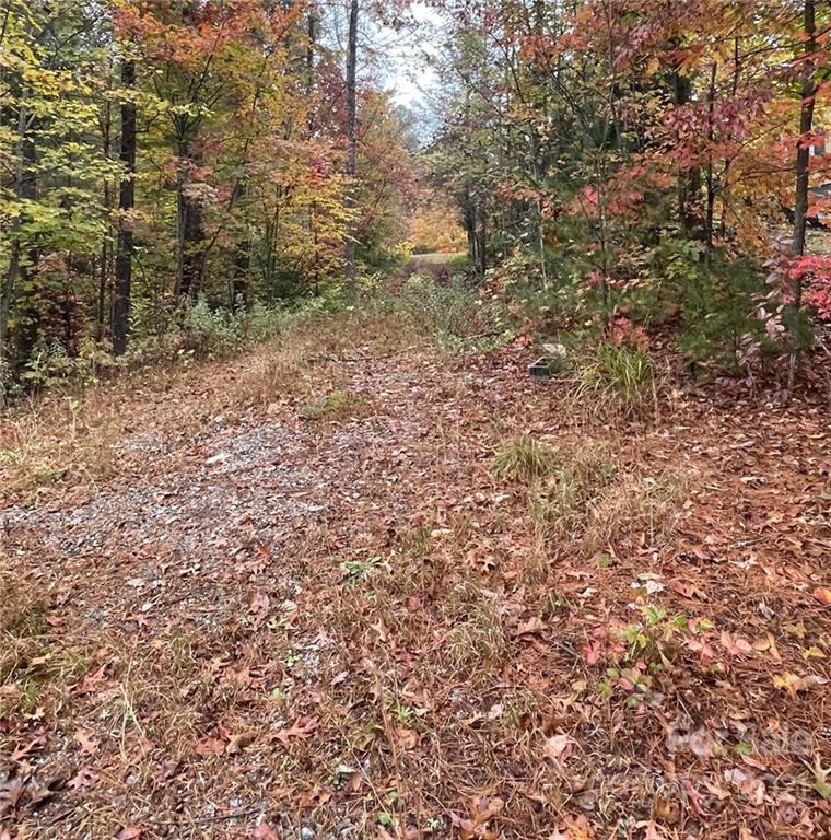 Tbd Jones Farm Road, Unit 13R Saluda, NC 28773 - Photo 2 of 7 Gallery Image 2
