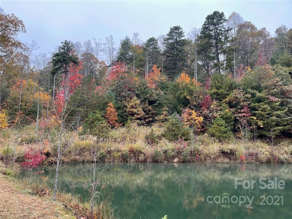 Tbd Jones Farm Road, Unit 13R Saluda, NC 28773 - Photo 4 of 7 Gallery Image 4