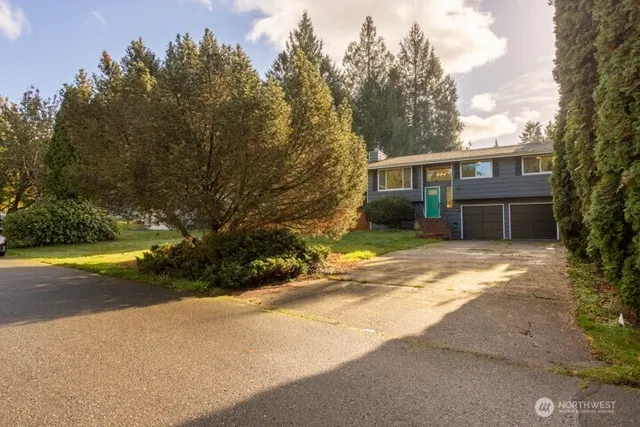 a view of a house with a yard and large tree