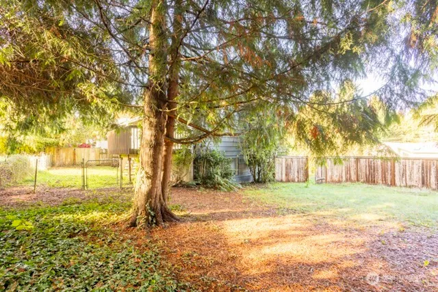 a view of a yard with a tree