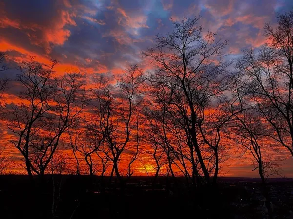 $5,495 | 182 Palfrey Street, Watertown, MA 02472