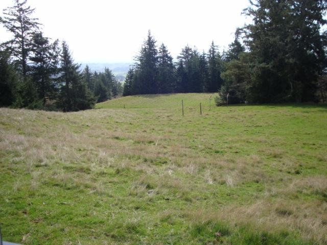 0 Berta Road Eureka, CA 95503 - Photo 10 of 20
