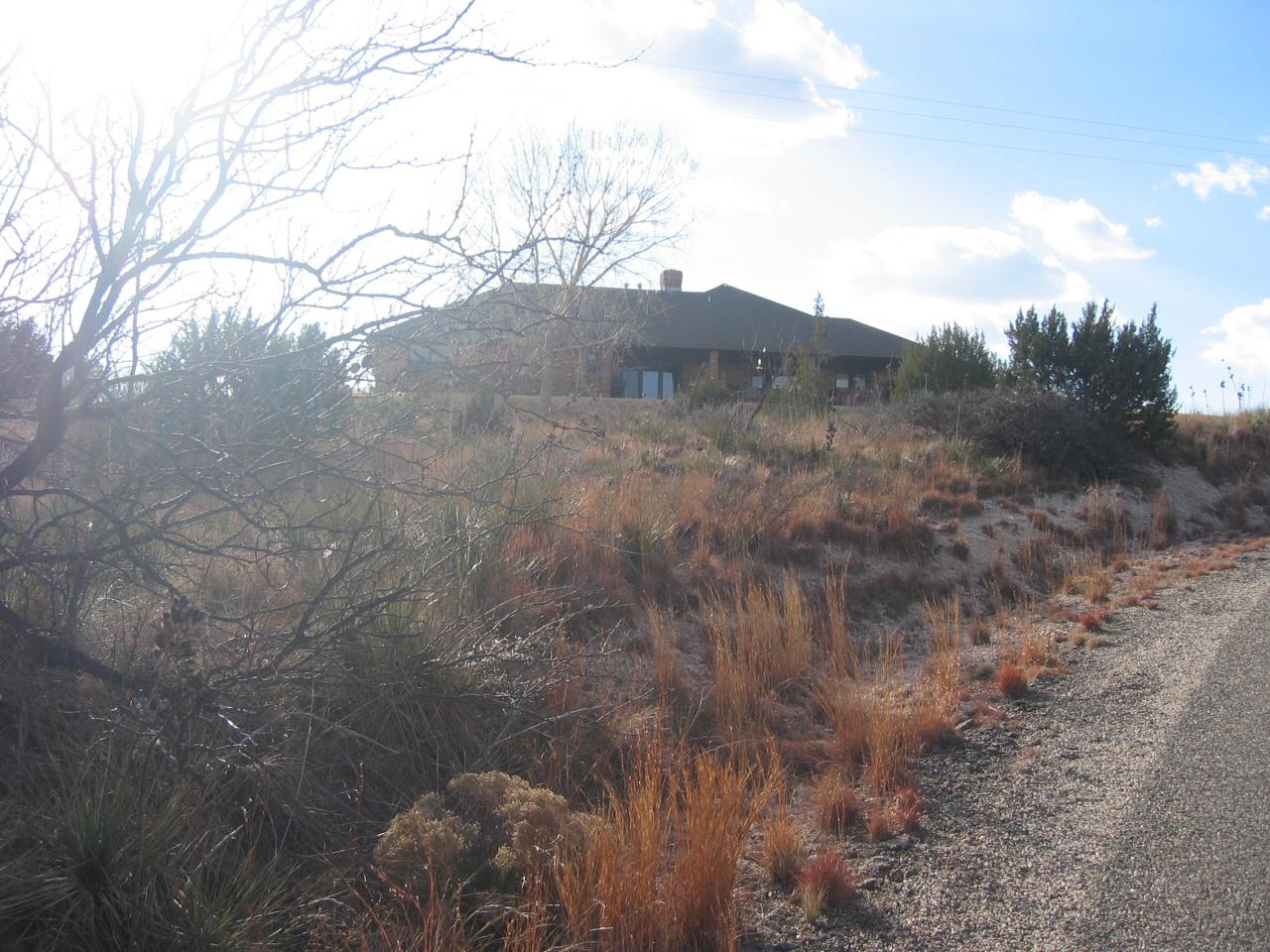 711 McKenzie Road Amarillo, TX 79118 - Photo 33 of 38 a view of a dry yard with trees
