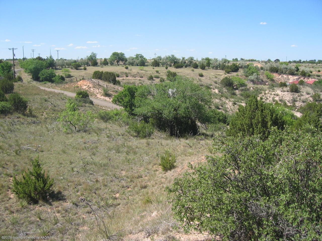711 McKenzie Road Amarillo, TX 79118 - Photo 36 of 38 a view of a forest with a street