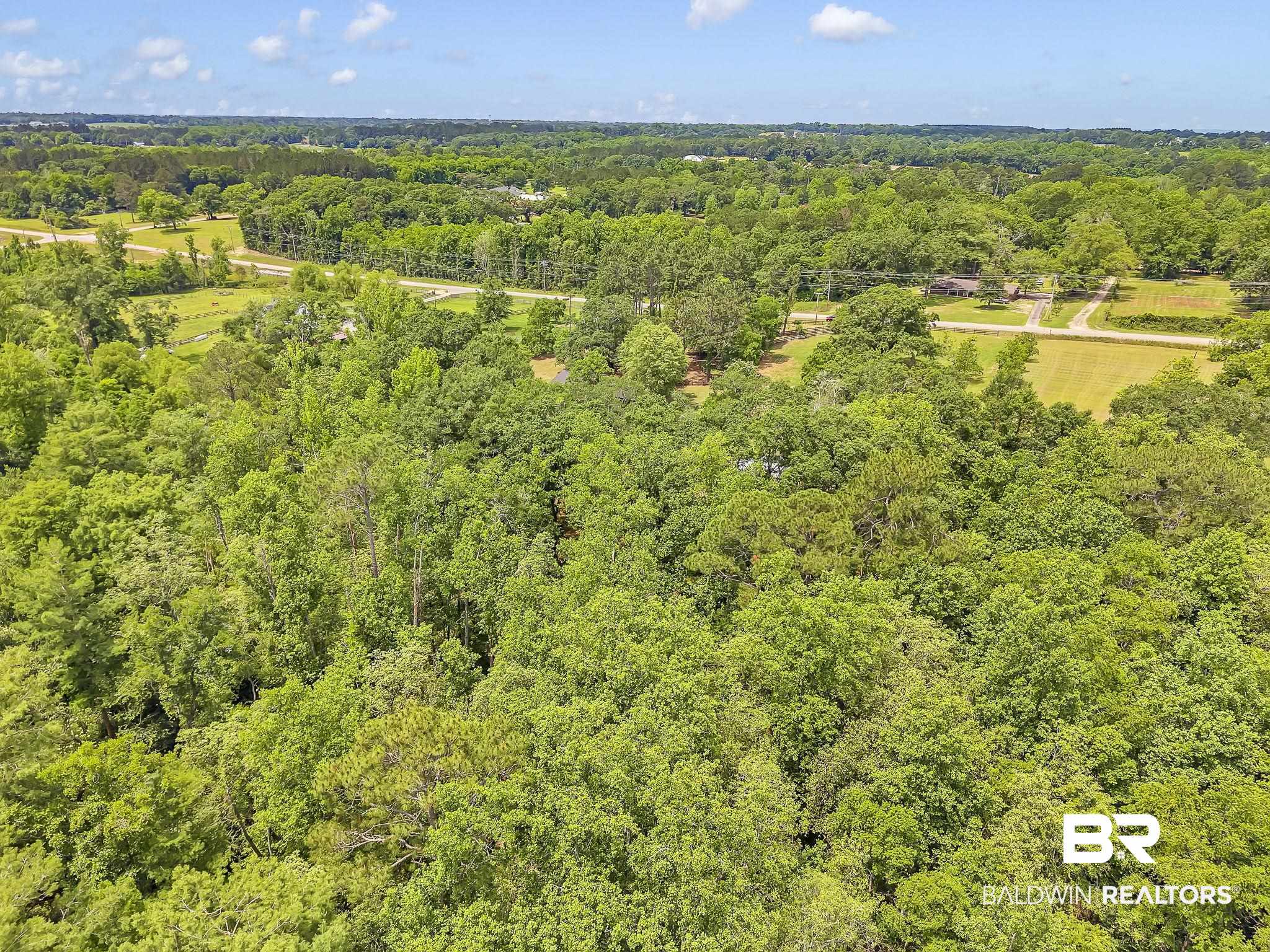 18626-1 Moore Road Andalusia, AL 36420 - Photo 15 of 17 Drone / aerial view of a heavily wooded area