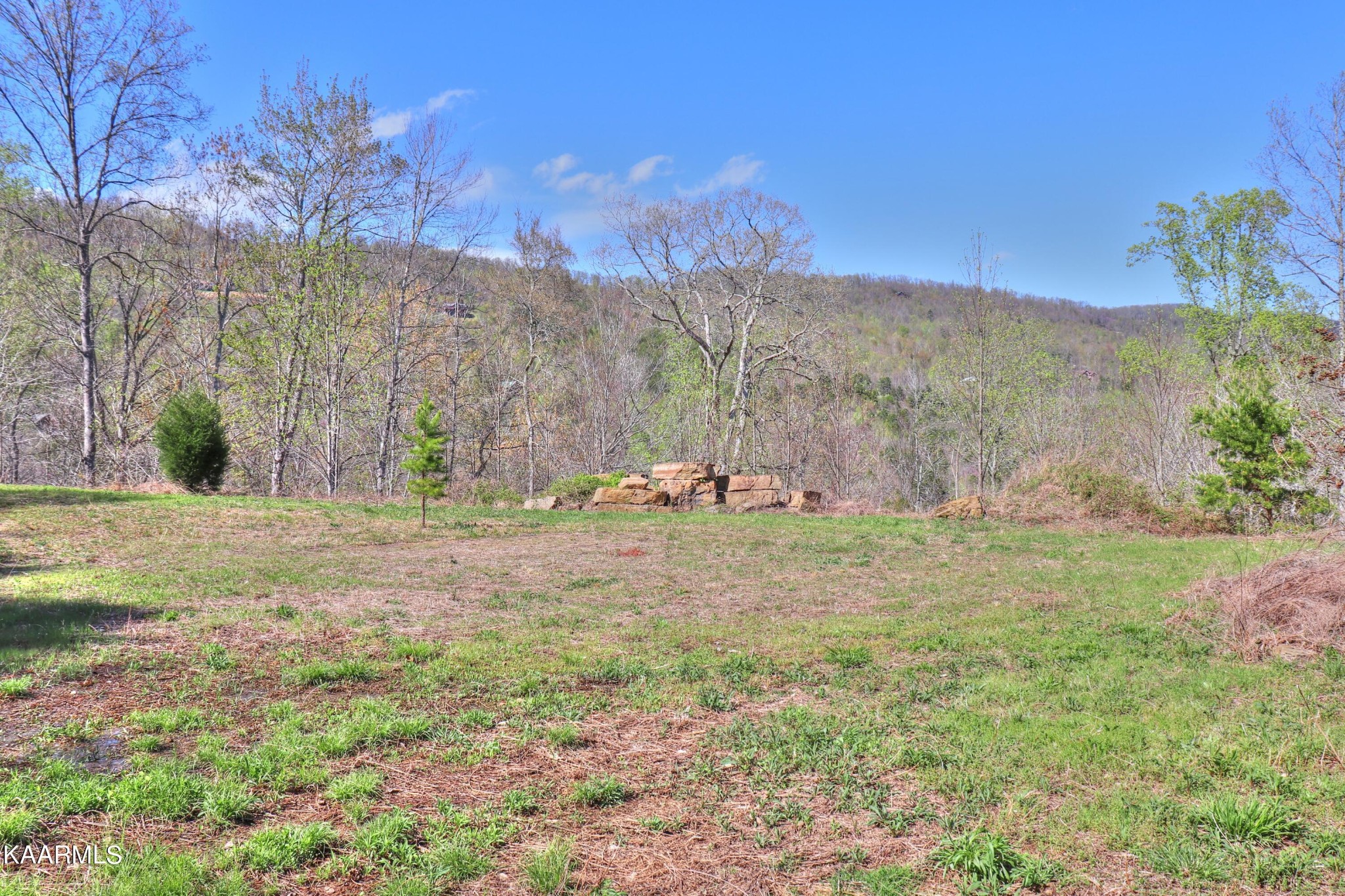 873 Clearwater Road New Tazewell, TN 37825 - Photo 25 of 38
