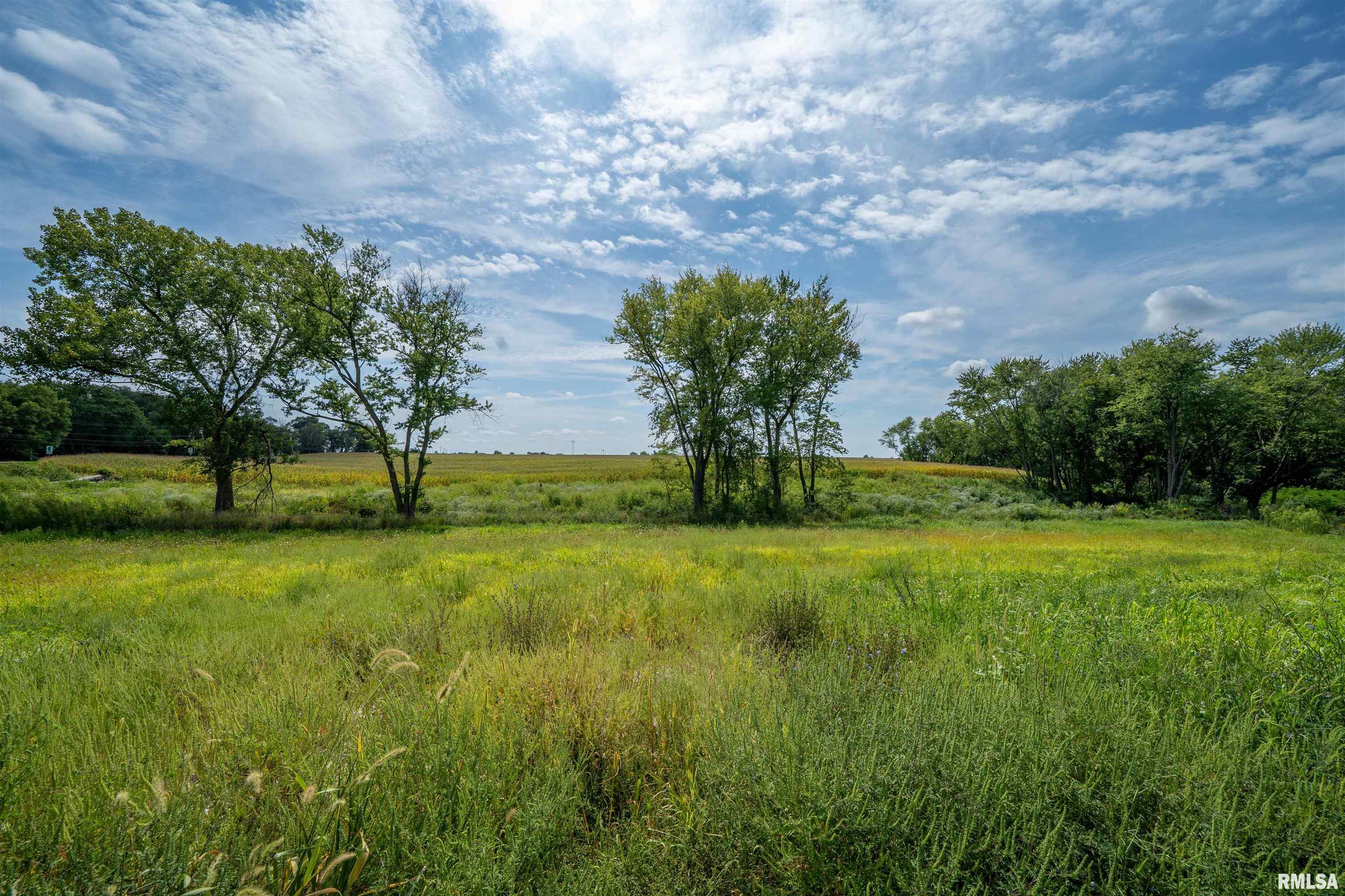 0 West Farmington Road Peoria, IL 61604 - Photo 13 of 22 Gallery Image 13