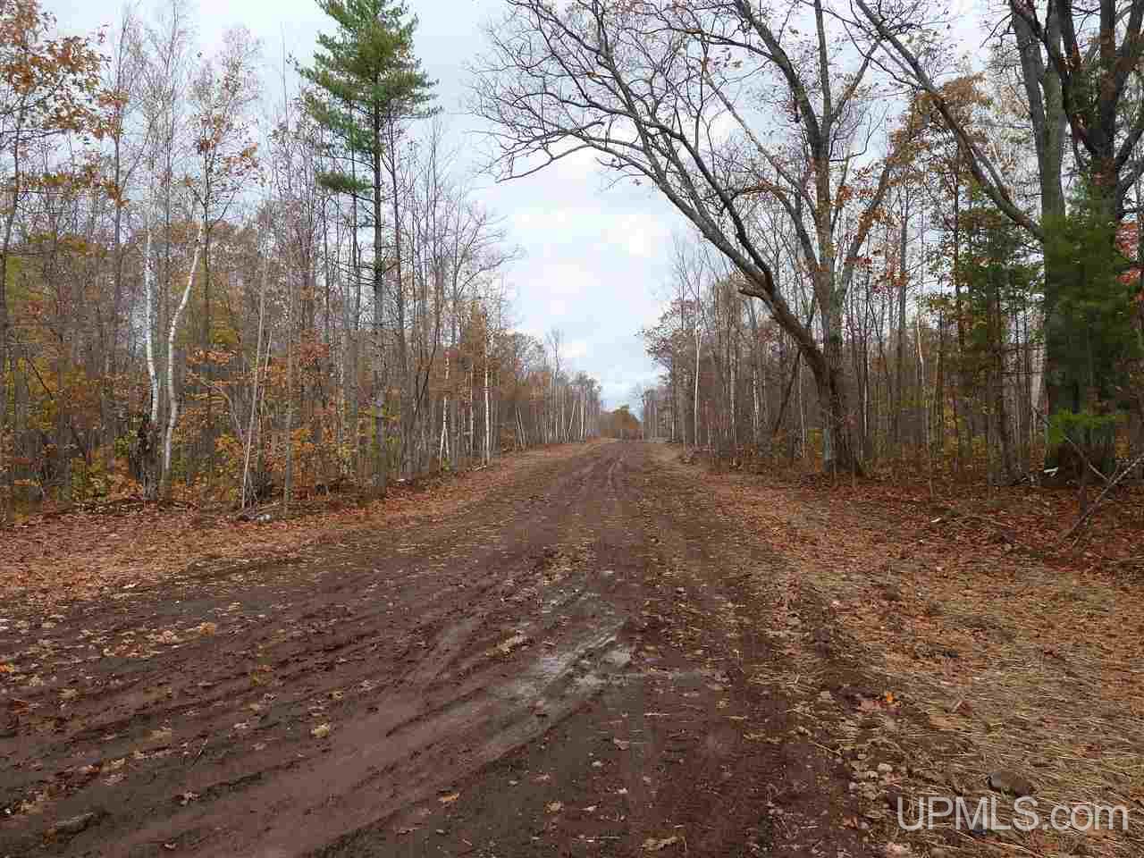 Tbd A - G Deere Ridge Road Calumet, MI 49930 - Photo 23 of 39