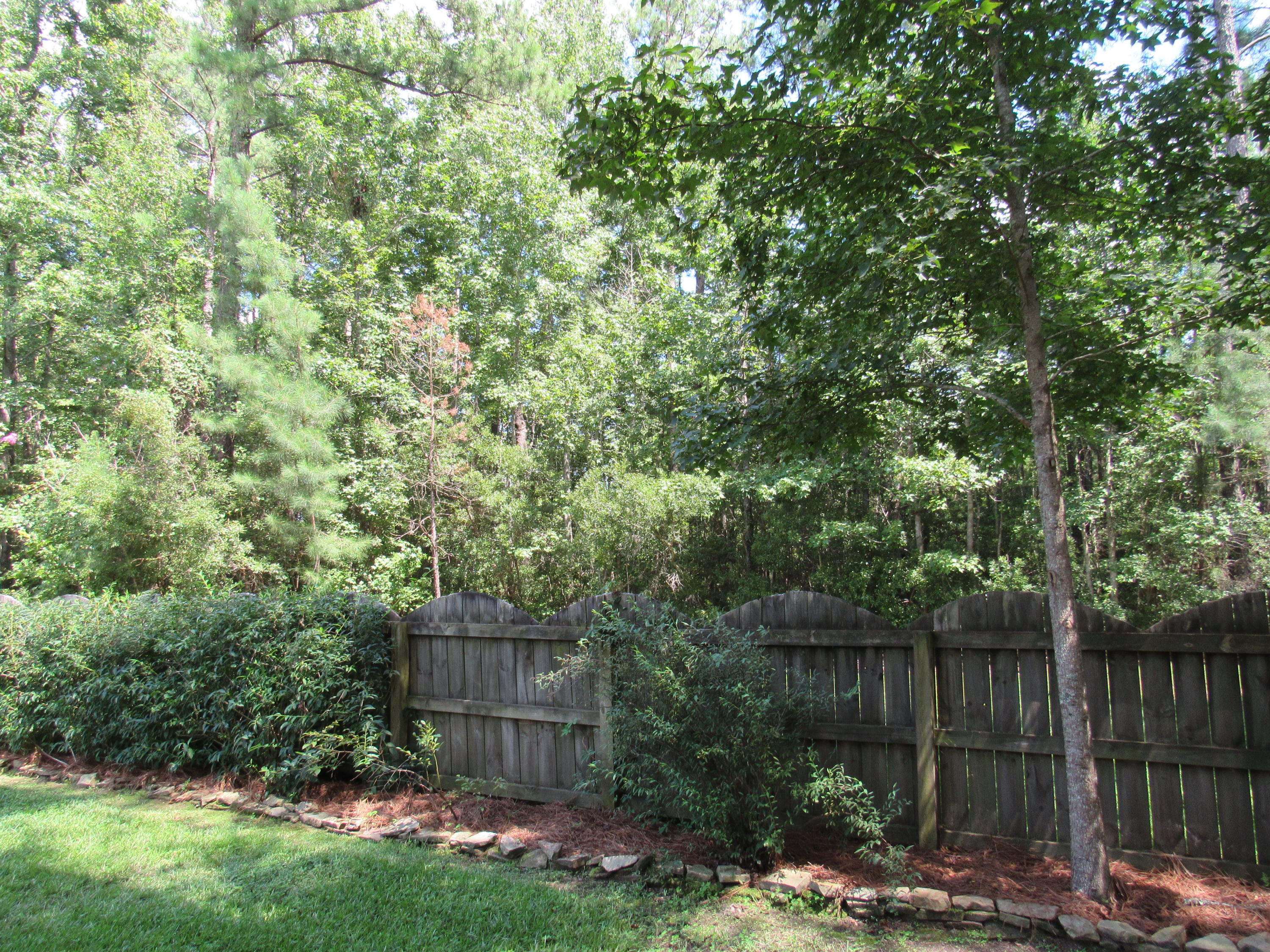 2068 Briar Bend Road Ridgeville, SC 29472 - Photo 48 of 61 IMG_0435