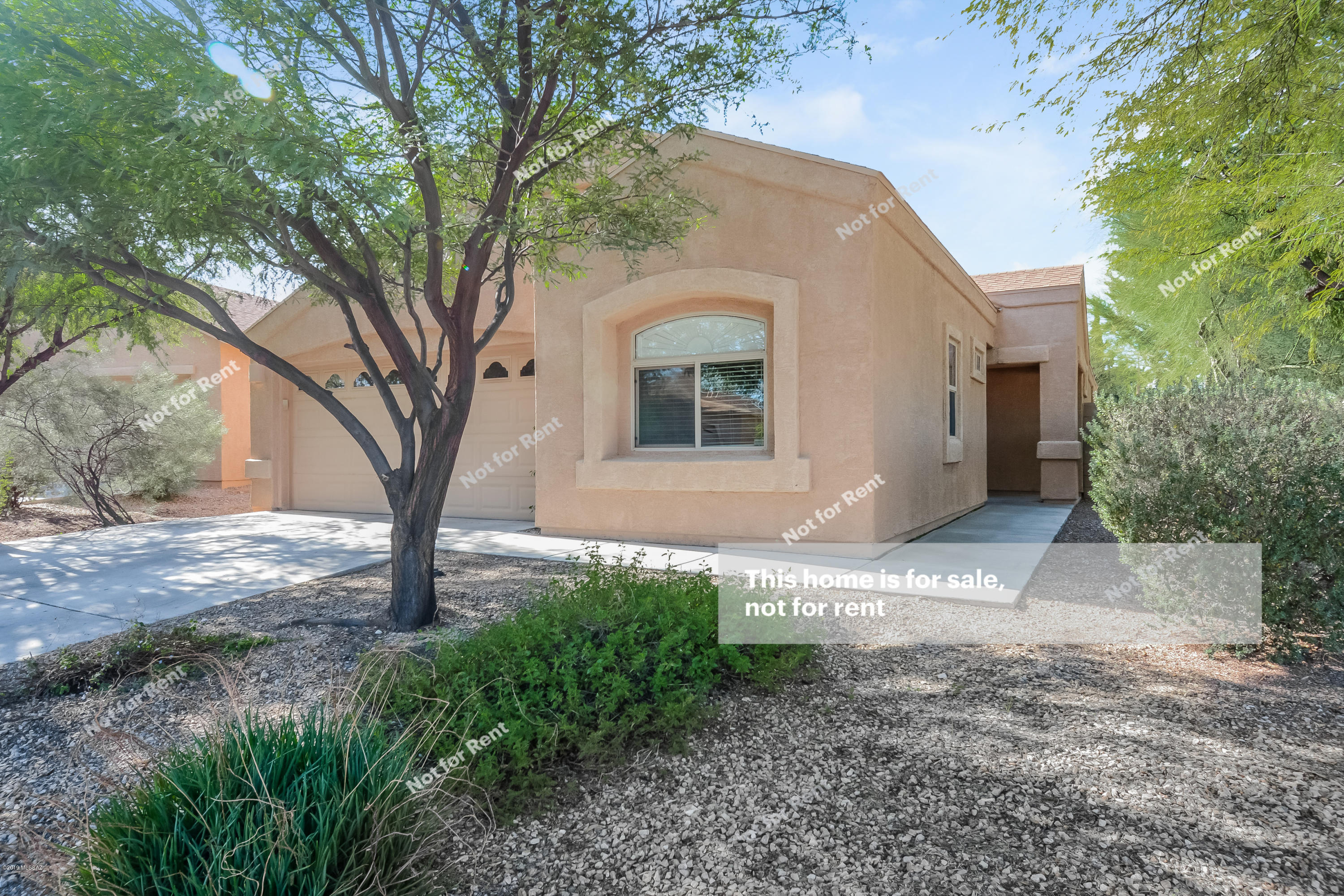 3226 South Lakeside Ridge Loop Tucson, AZ 85730 - Photo 1 of 25
