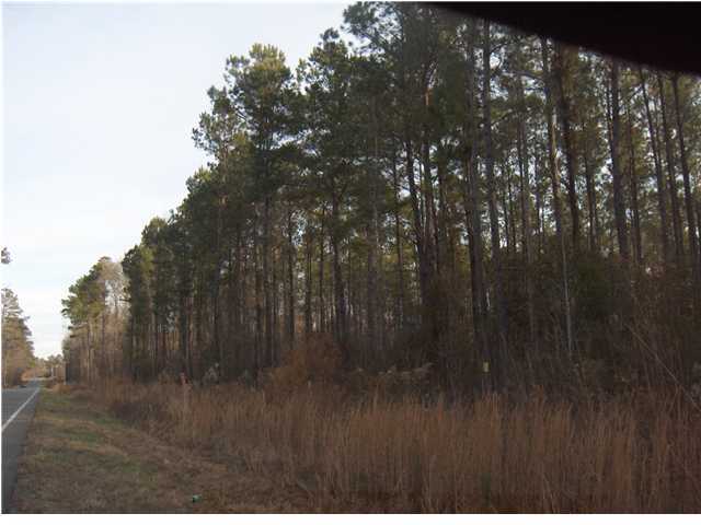 0 Sillivant Lane Ridgeville, SC 29472 - Photo 2 of 2 Additional Photo